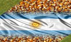 Argentina: vendedores de milho paralisam atividades
