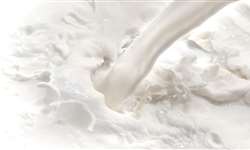 Sedimentação em leite UHT e caseína: qual a relação?