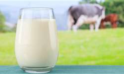 Vídeo mostra como a produção de leite em Patos de Minas chegou ao 2º lugar no país