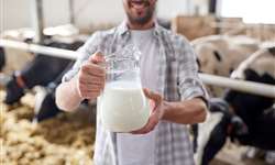 Qual é a importância do leite para a nutrição humana?