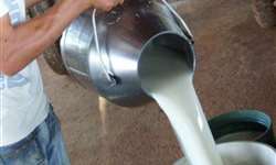 Produção de leite na Argentina cresceu 7,4% em 2020