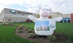 Shamrock Farms lança híbrido de leite de vaca e bebidas vegetais de amêndoa e coco nos EUA