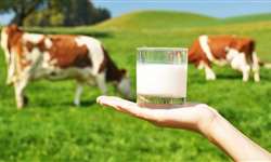 Alagoas: órgãos discutem estratégias para fortalecer a cadeia produtiva do leite