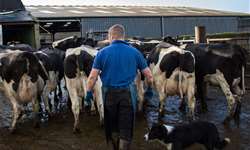 Produtores de leite pedem ao governo retirada de impostos sobre insumos