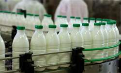 Bebidas lácteas proteicas: P&D e seus desafios socieconômicos