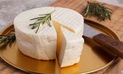 Coliformes em queijo Minas Frescal: causas e prevenção