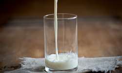 Proteína do leite: fonte de peptídeos com atraentes propriedades