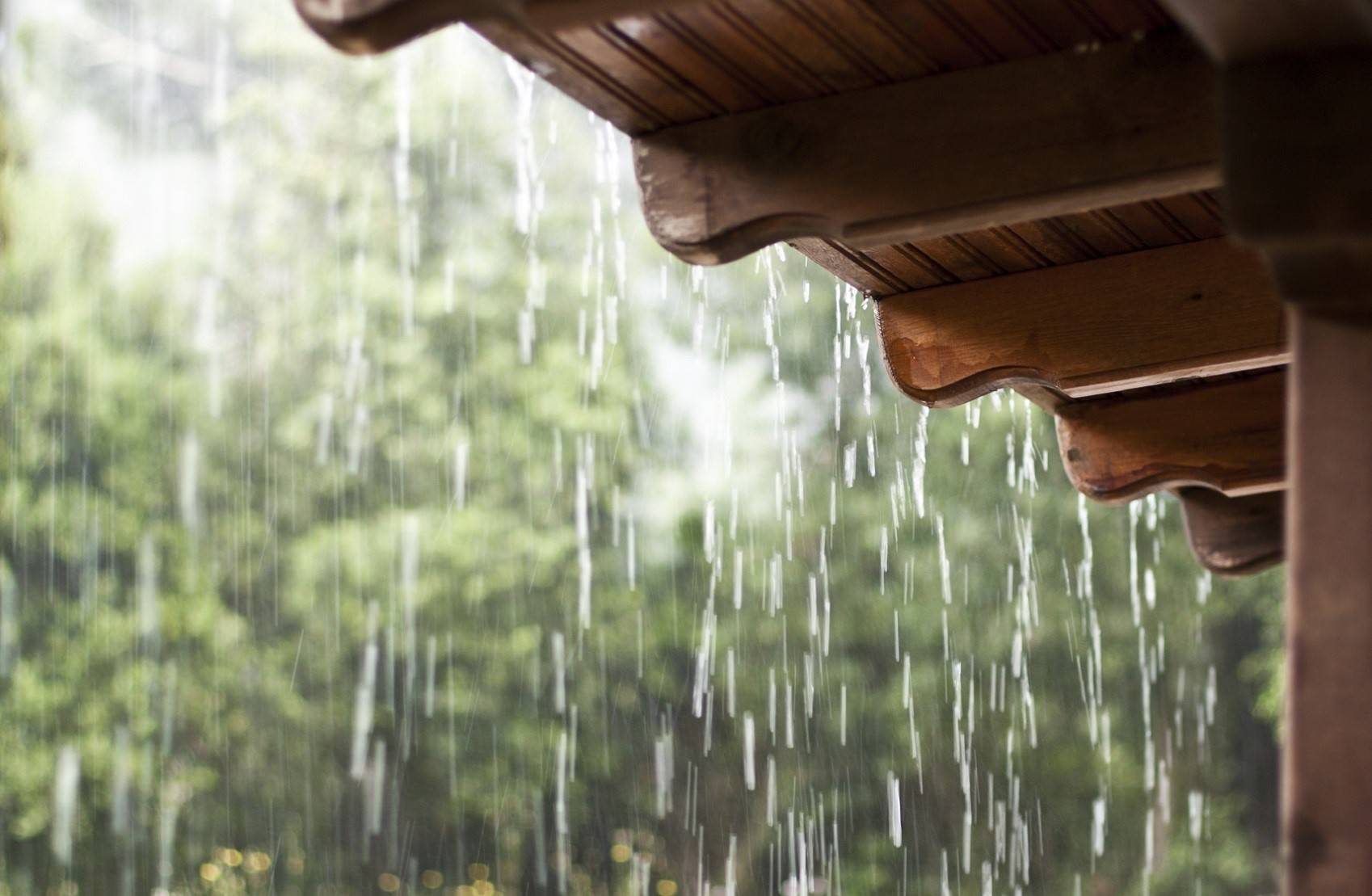 A volta por cima do produtor de leite que viu a chuva levar tudo