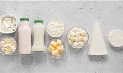 Aquecimento ôhmico em leite e derivados