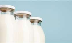 Suco de soja: um substituto para o leite?