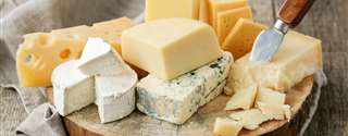 Bactérias de auxílio na maturação dos queijos (NSLAB) e seus benefícios para a saúde