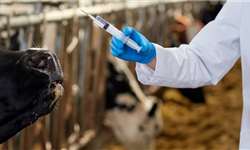 Produtos de uso veterinário em fazendas: dicas para um uso mais seguro