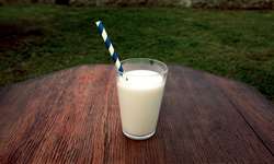 Proteínas lácteas: grandes veículos para compostos bioativos