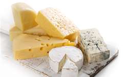 Quais fatores afetam o rendimento da fabricação de queijos?