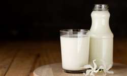 Resíduo de antibióticos no leite: saiba como testar rapidamente