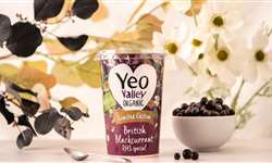 Yeo Valley lança iogurte de groselha preta em edição limitada
