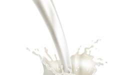 Composição do leite de vaca