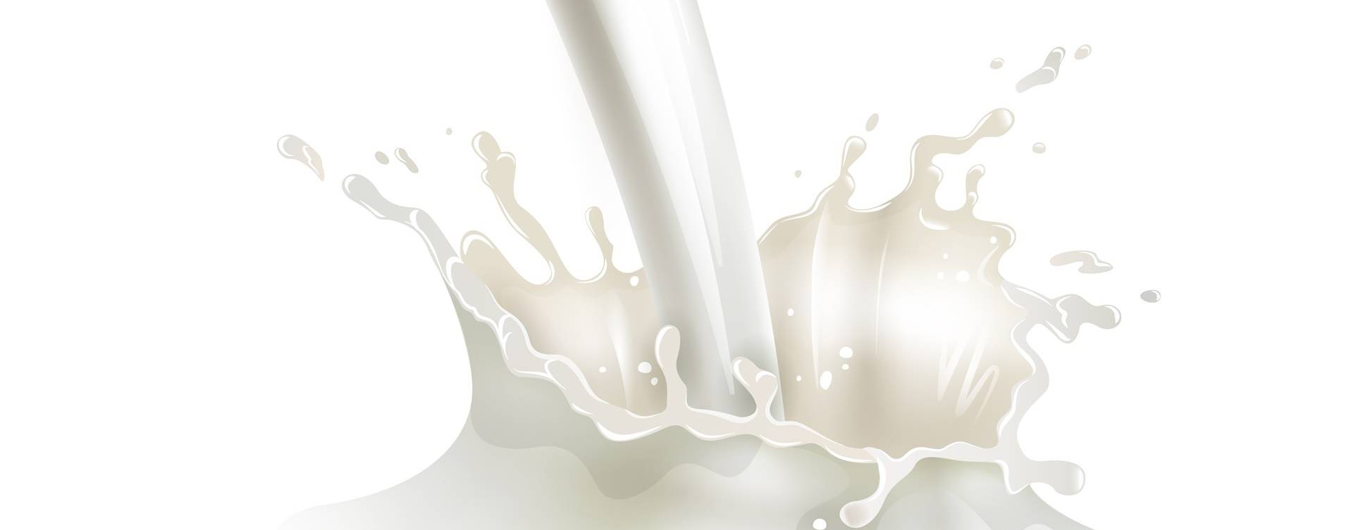 Composição do leite de vaca