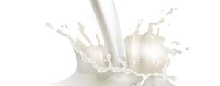 Composição e características dos componentes do leite