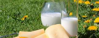 Tamanho da micela de caseína pode alterar a coagulação do leite
