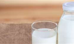 A importância do consumo de leite nos países de baixa renda
