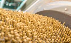 Lidando com a conservação da qualidade de grãos e rações no novo cenário de custos de insumos