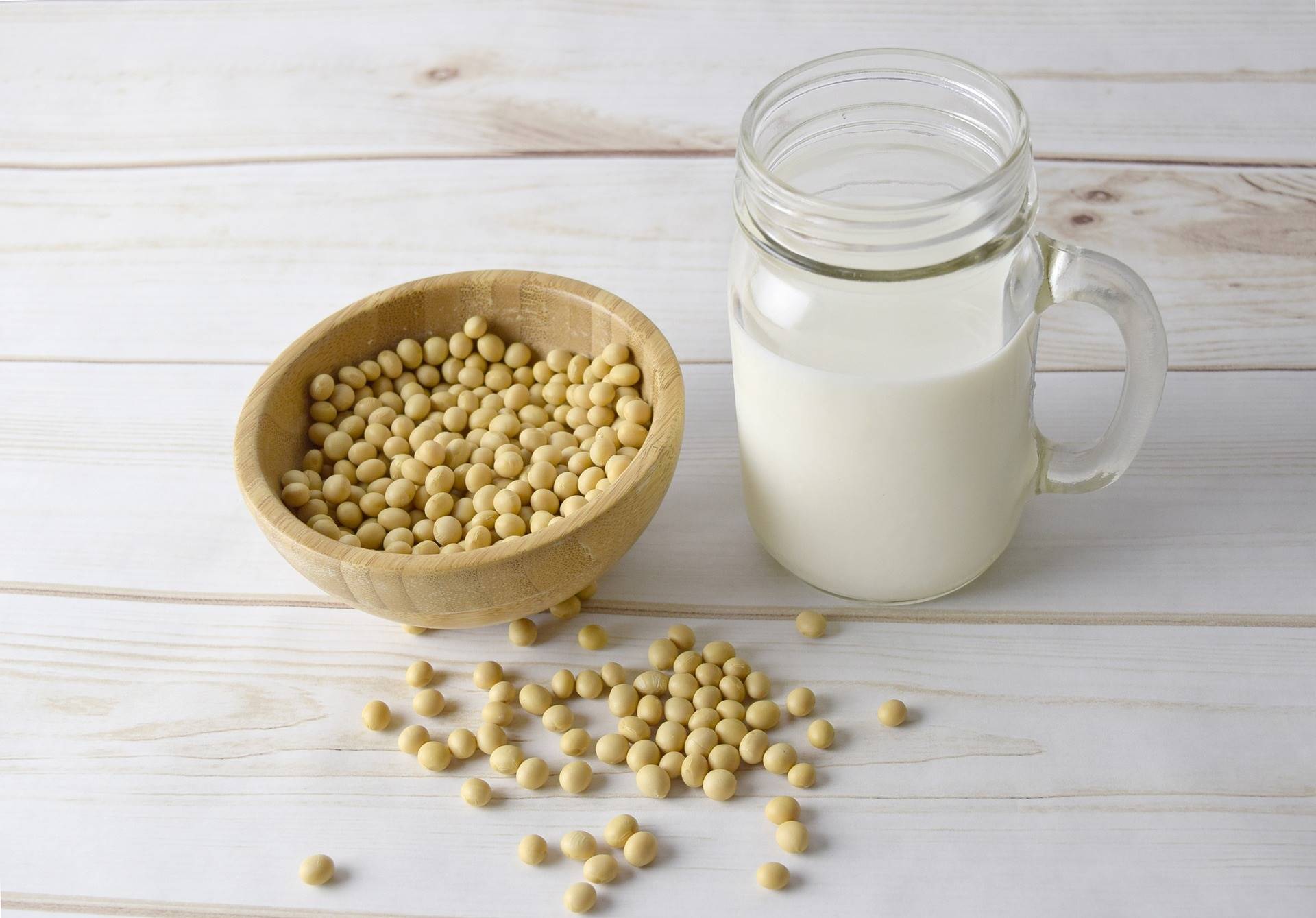 Leite vs. Bebidas Vegetais: qual é o melhor?