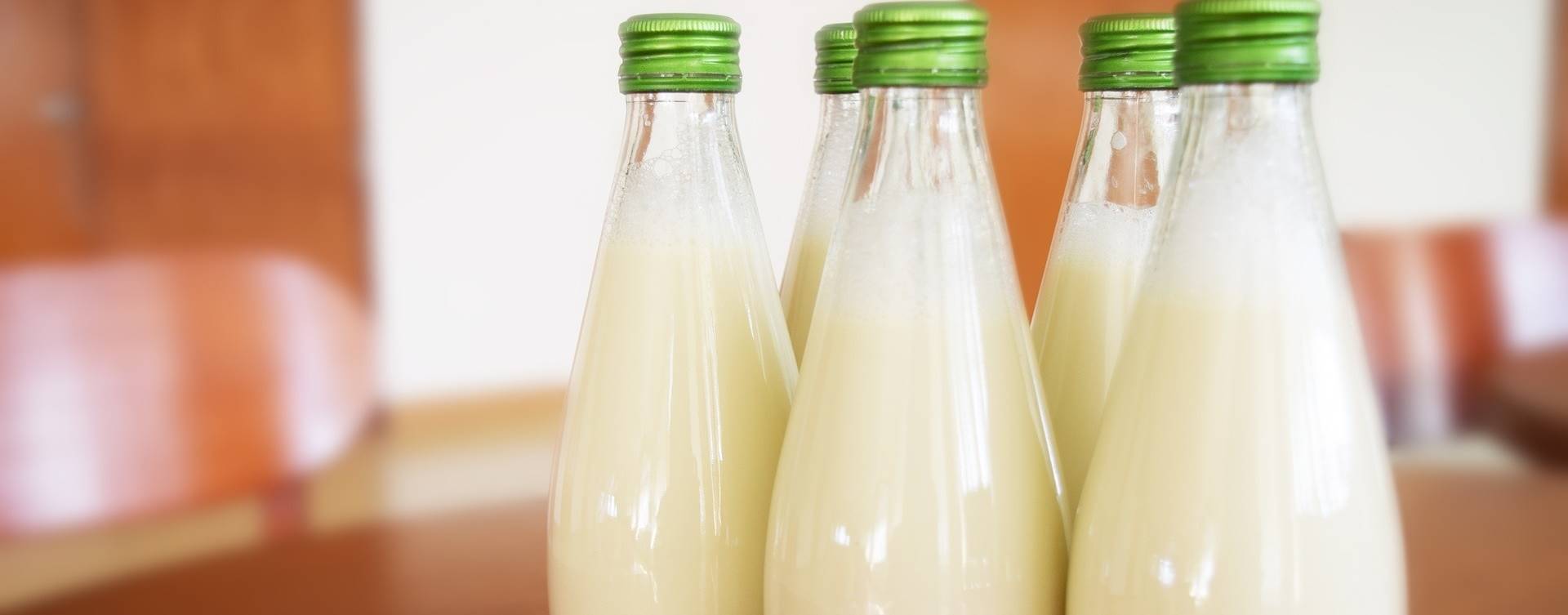 Consumo de leite não aumenta níveis de colesterol, mostra estudo