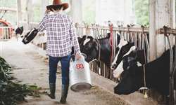 Ebook gratuito: fundamentos do sistema MDA para fazendas leiteiras
