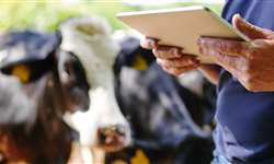 Ideagri lança inédito simulador de produtividade e faturamento para o produtor de leite