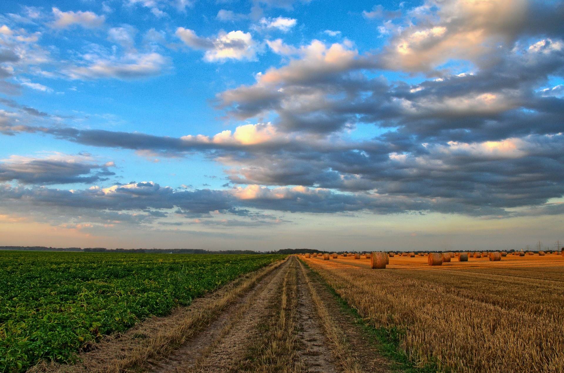 Governo de SP anuncia investimento recorde em pesquisa agropecuária