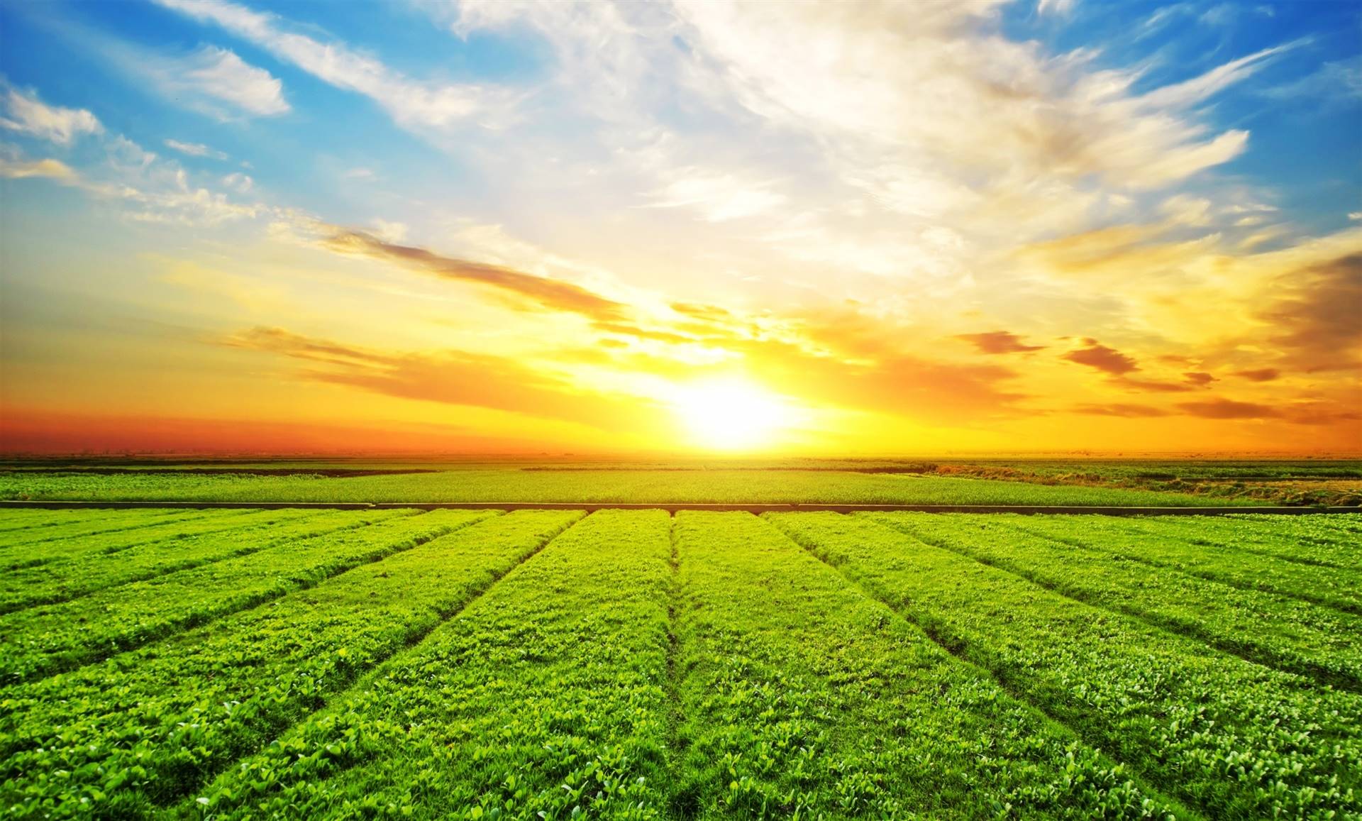 Entidades do agro rejeitam proposta de reforma tributária