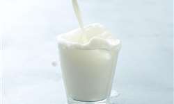 Bactérias benéficas do leite