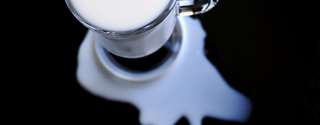 Estudo proteômico para detecção de fraude em leite