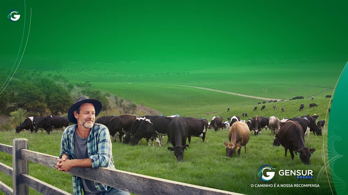 O Que Favorece A Atividade Pecuária Na Nova Zelandia