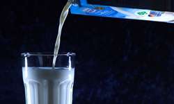 Depois de forte alta em 2020, leite e outros alimentos desaceleram no varejo