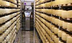 Suiça e seus maravilhosos robôs de cura de queijo