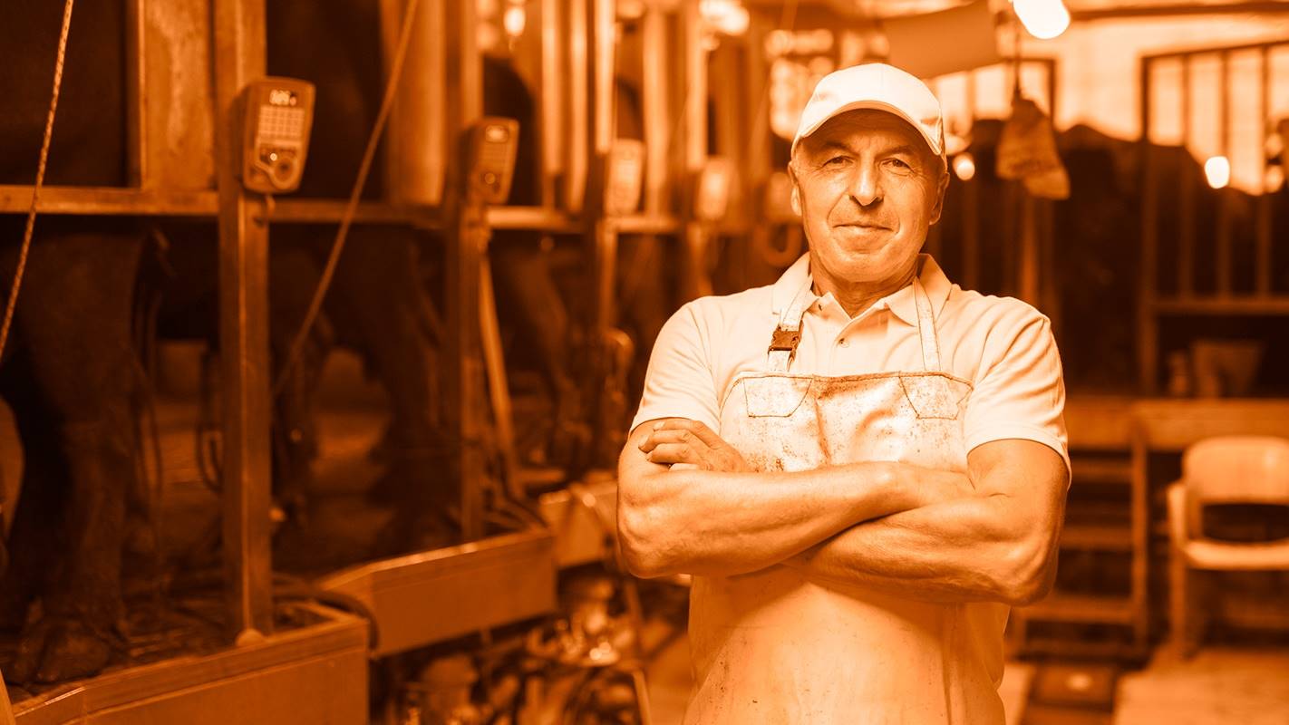 MilkPoint Experts Feras da Consultoria: última semana do 1º lote com preços incríveis, aproveite!