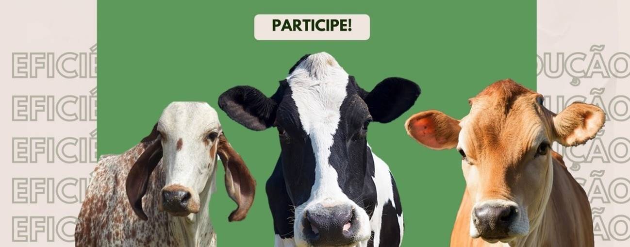 Participe da nossa pesquisa sobre índices de eficiência técnica e econômica em fazendas!
