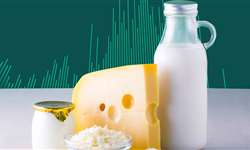 11ª edição Fórum MilkPoint Mercado: instruções aos participantes!