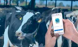 Nova versão da plataforma CheckMilk está disponível para o produtor de leite