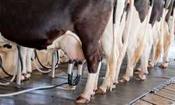 Baixa taxa de concepção em vacas de leite de alta produção: um modelo elucidativo