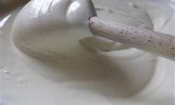 Requeijão com teor reduzido de lactose