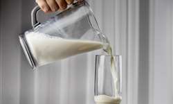 Doce de leite a partir de misturas de leite e soro de leite