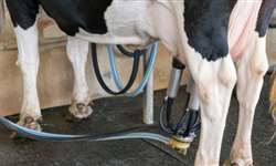Efeito da freqüência de ordenhas, cipionato de estradiol e bST na produção de leite e eficiência reprodutiva em vacas de leite