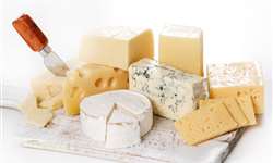 Pseudomonas em queijos: causas e defeitos tecnológicos