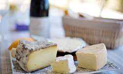 Contagem de células somáticas e qualidade de queijos