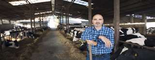 Gestão da rotina em empresas produtoras de leite - Sistema MDA