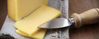 Leite com CCS elevada tem menor rendimento para fabricação de queijo Mussarela