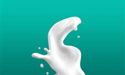 Qualidade do leite versus qualidade da água